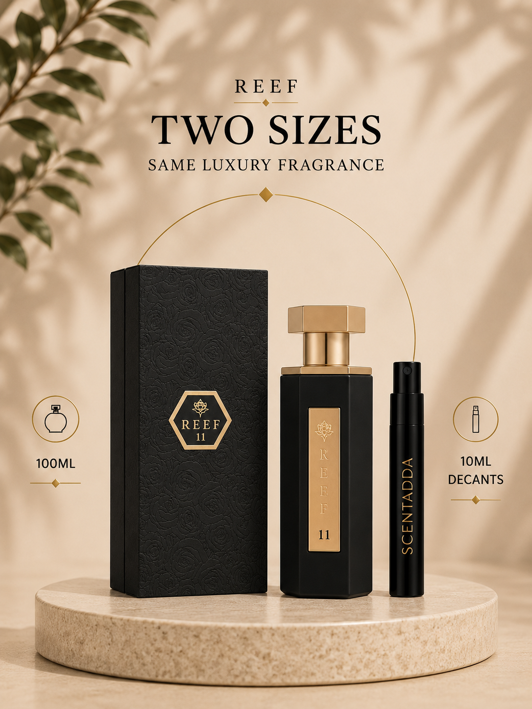REEF 11 Eau De Parfum 10ML Decant