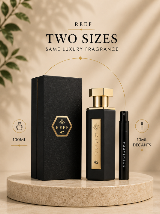 REEF 42 Eau De Parfum 10ML Decant