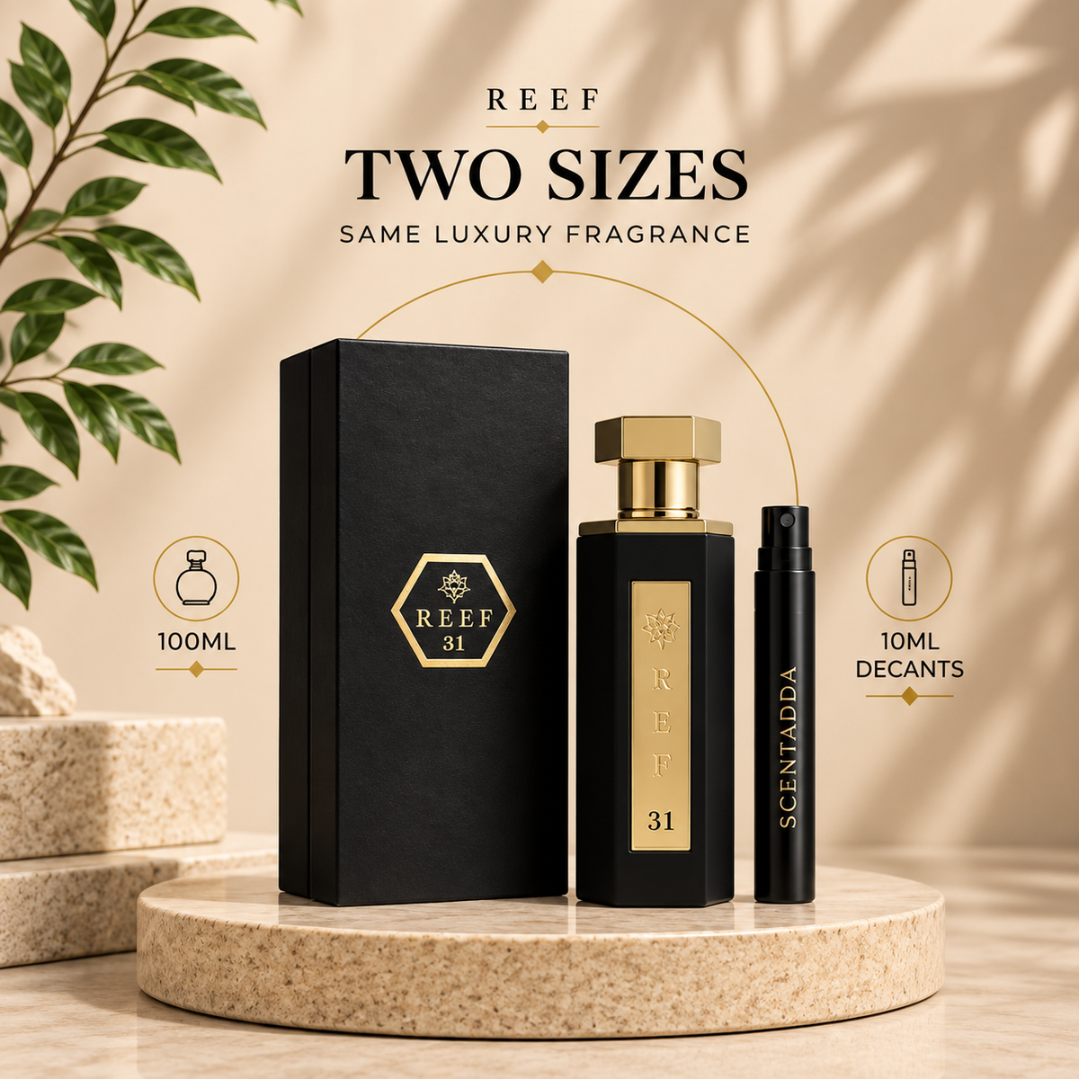 REEF 31 Eau De Parfum 10ML Decant