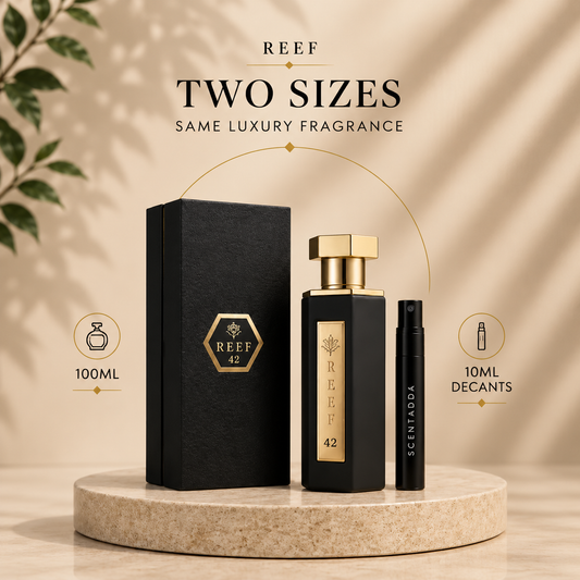 REEF 42 Eau De Parfum 10ML Decant
