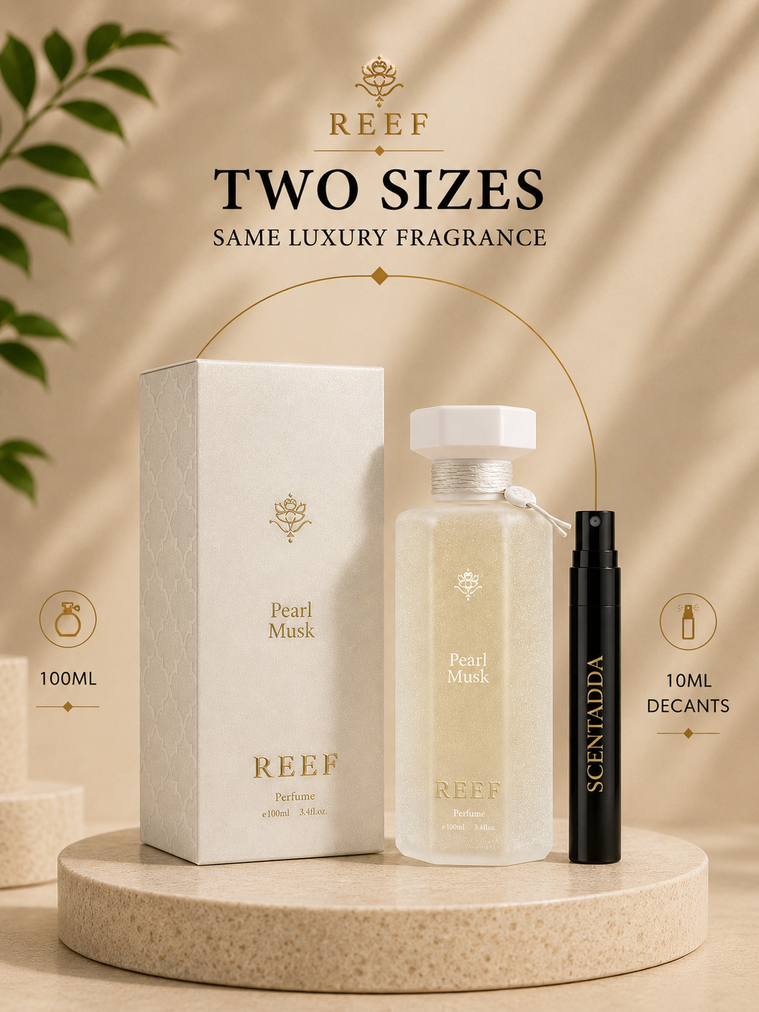 REEF Pearl Musk Eau De Parfum10ML Decant
