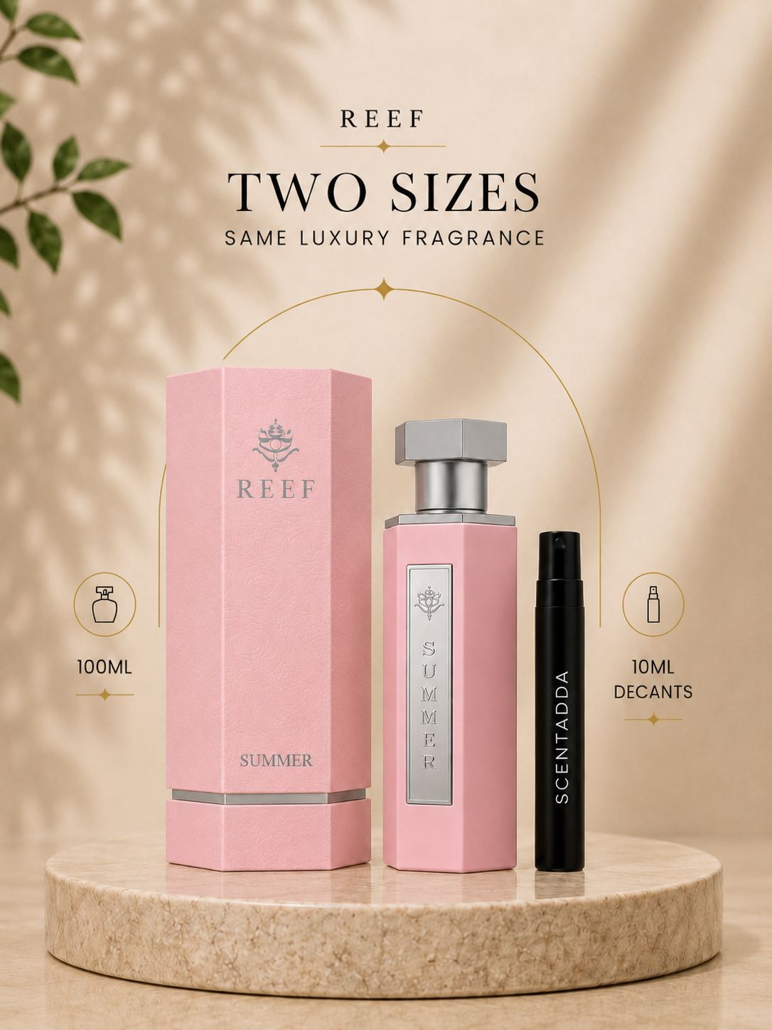 REEF Summer Eau De Parfum 10ML Decant