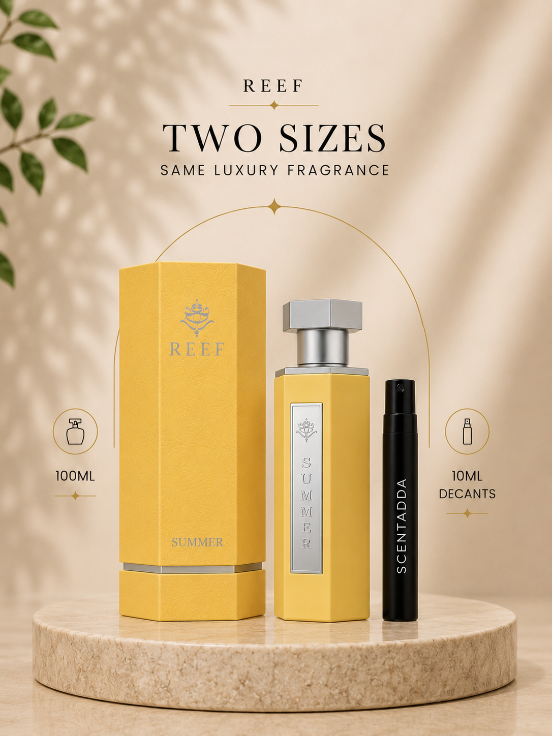 REEF Summer Yellow Eau De Parfum 10ML Decant